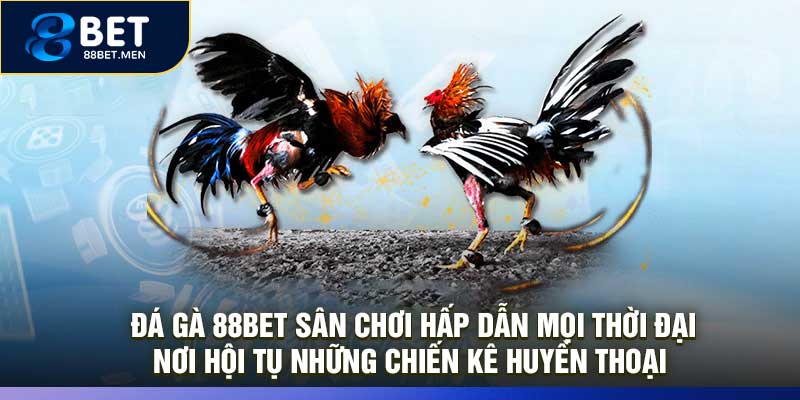  Đá Gà 88Bet Sân Chơi Hấp Dẫn Mọi Thời Đại