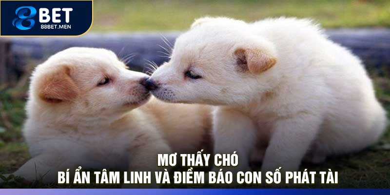 Mơ Thấy Chó: Bí Ẩn Tâm Linh Và Điềm Báo Con Số Phát Tài