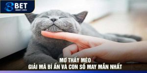 Mơ Thấy Mèo: Giải Mã Bí Ẩn và Con Số May Mắn Nhất