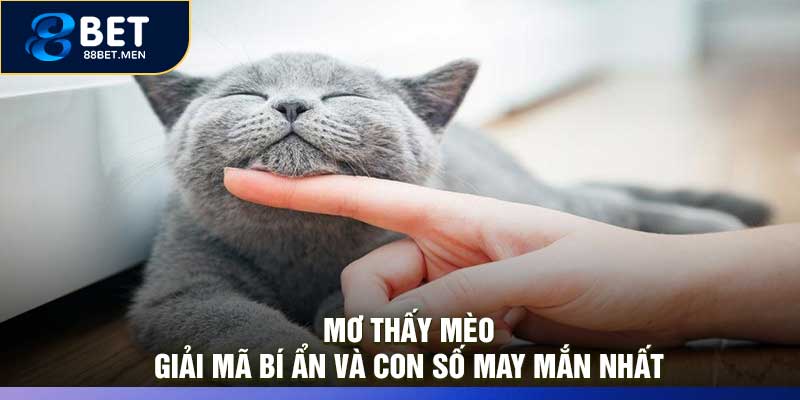 Mơ Thấy Mèo: Giải Mã Bí Ẩn và Con Số May Mắn Nhất