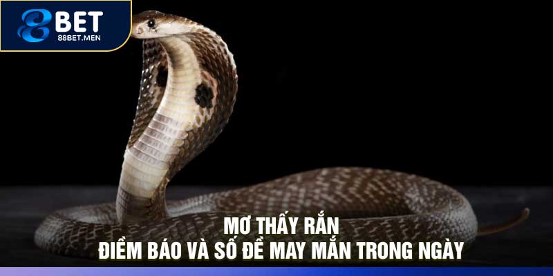 Mơ Thấy Rắn – Điềm Báo Và Số Đề May Mắn Trong Ngày